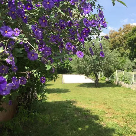 L'oustaou Di Ercole *