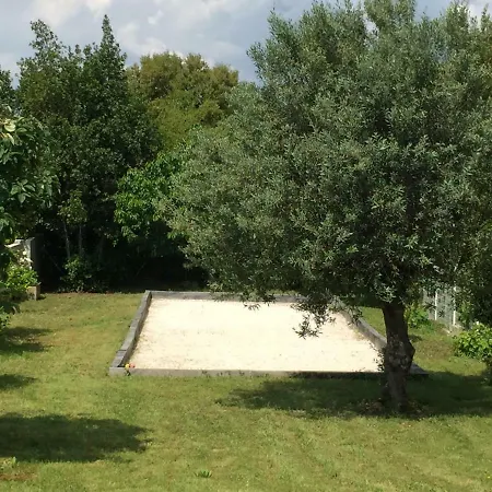 Oustaou Di Ercole بورم لي ميموزا